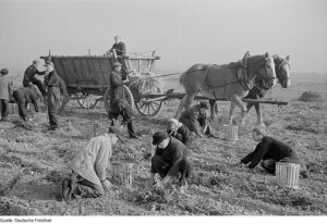 Bauern und Kinder bei der Kartoffelernte
